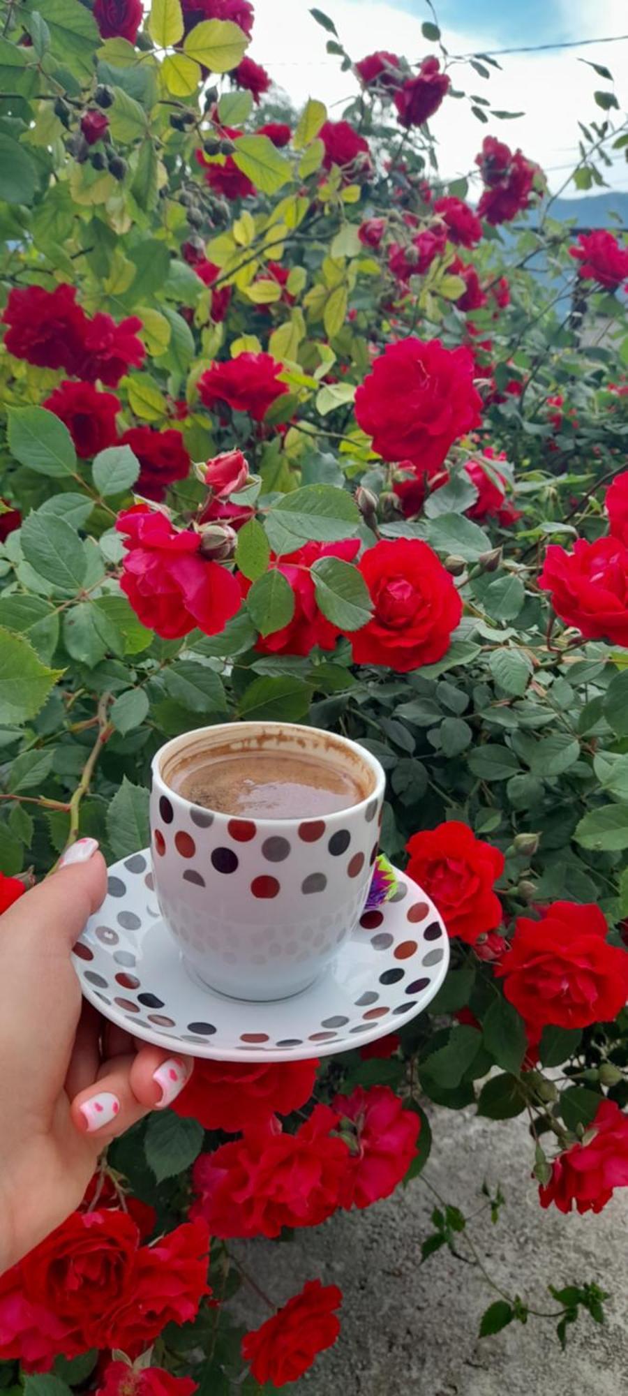 Alex Bnb تاتيف المظهر الخارجي الصورة